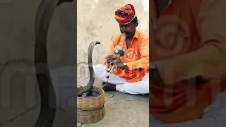Snake Charming Flute Music 