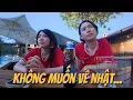 Download Lagu Đêm cuối ở Đà Nẵng, vợ chồng Nhật đón nhận điều bất ngờ gì?