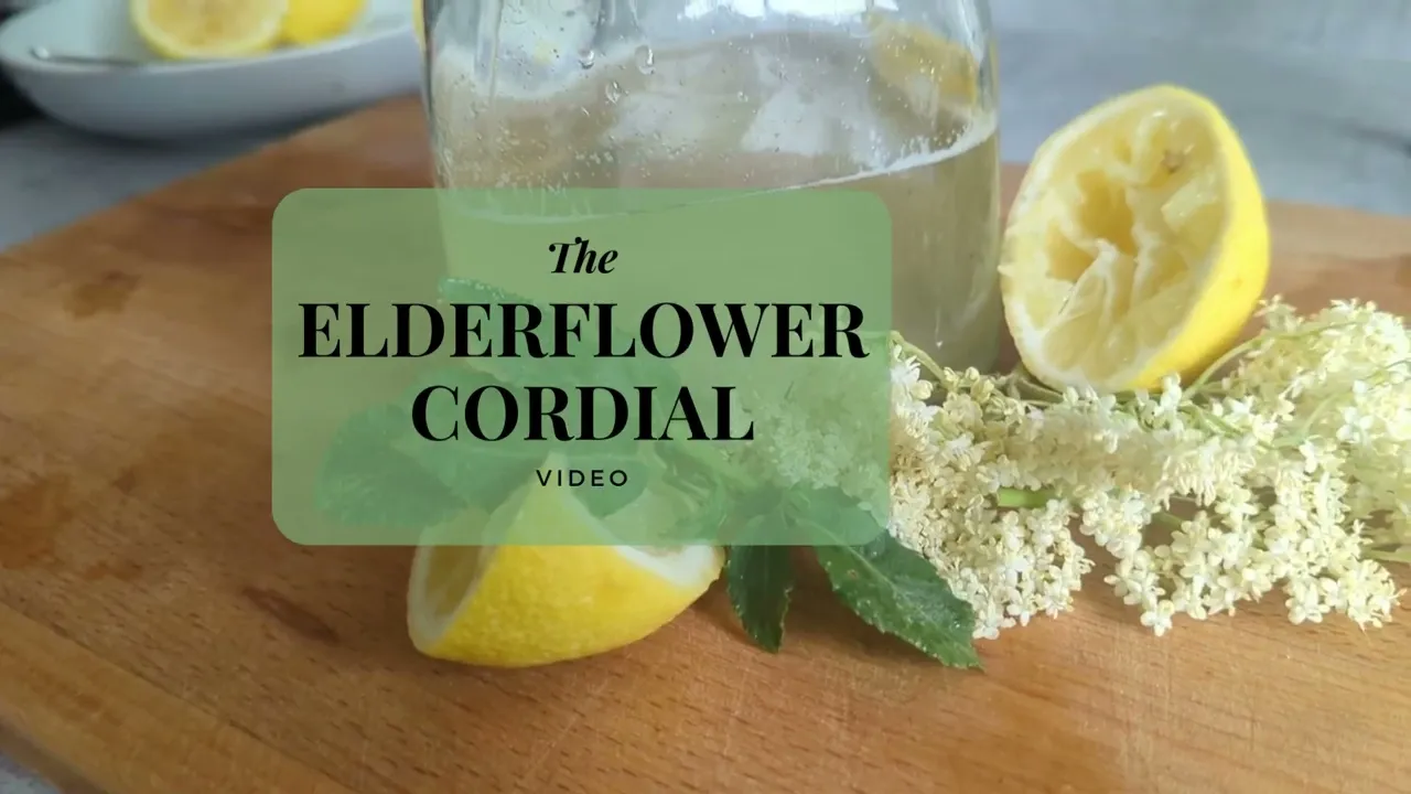 Homemade Elderflower Cordial: A Delicious Summer Drink 