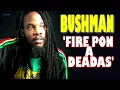 Bushman   Fire Pon A Deadas