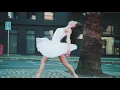 Hr. Troels - La Isla Bonita