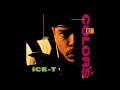 Ice T  -  Colors  (radio version)