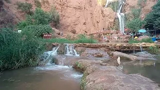 نموت على بلاد والدية المغرب زينه البلودان دندنها