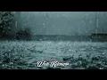 Download Lagu Safira Inema -[ Lirik ] Wedi Kelangan - [ Official Musik  ]