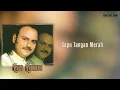 Sapu Tangan Merah - Yus Yunus