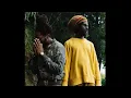 Lagu Chronixx \u0026 Kabaka Pyramid - Mi Alright (963Hz)