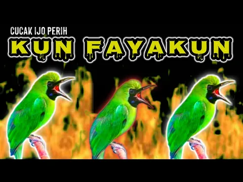 MASTERAN HANDAL CUCAK IJO KUN FAYAKUN PALING BANYAK DI SUKAI part 2hady gps