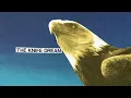 Protomartyr - The Knife Dream (Official Audio)