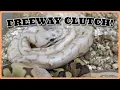 A Lot Of Neat Baby Ball Pythons From This Freeway Clutch