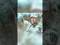 Download Lagu Wolf Warrior #movie