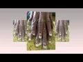 Pro Nails in Arroyo Grande CA 93420 1374