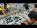 Download Lagu alhamdulillah rezeki mencari ikan kali ini cukup memuaskan langsung bungkus🤲😁