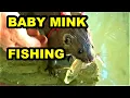 Baby Mink Villain First Fishing!
