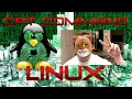 Using cat command in Linux with step-by-step Examples Learn Linux Now