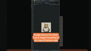 Google Gemini Pro Vision Text Image Processing in 10 Lines of Python code
