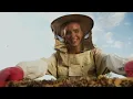 PureWave Energized Honey | The World's First Quantum Honey