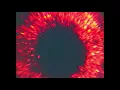 feed me with your kiss - my bloody valentine