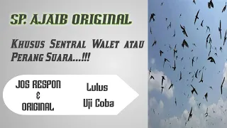 Download SP. AJAIB ORIGINAL || TERBUKTI DAN TERUJI || ShD CHANNEL MP3