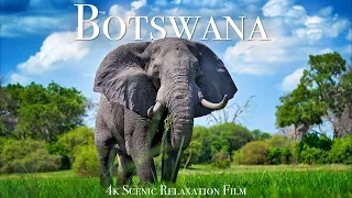 Botswana Okavango Delta 4K - Scenic Wildlife Film With African Music