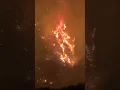 This Technique Can Help Los Angeles WildFires