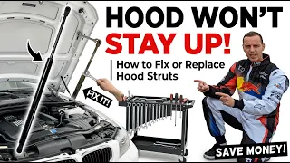 Hood Won't Stay Up | How to Fix or Replace Hood Struts