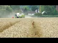 Ein Bett im Kornfeld-Musik Video