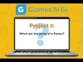 Gizmos to Go Flower Dissection