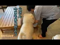 Download Lagu 毎日うにたす（025.6.25）それぞれの朝