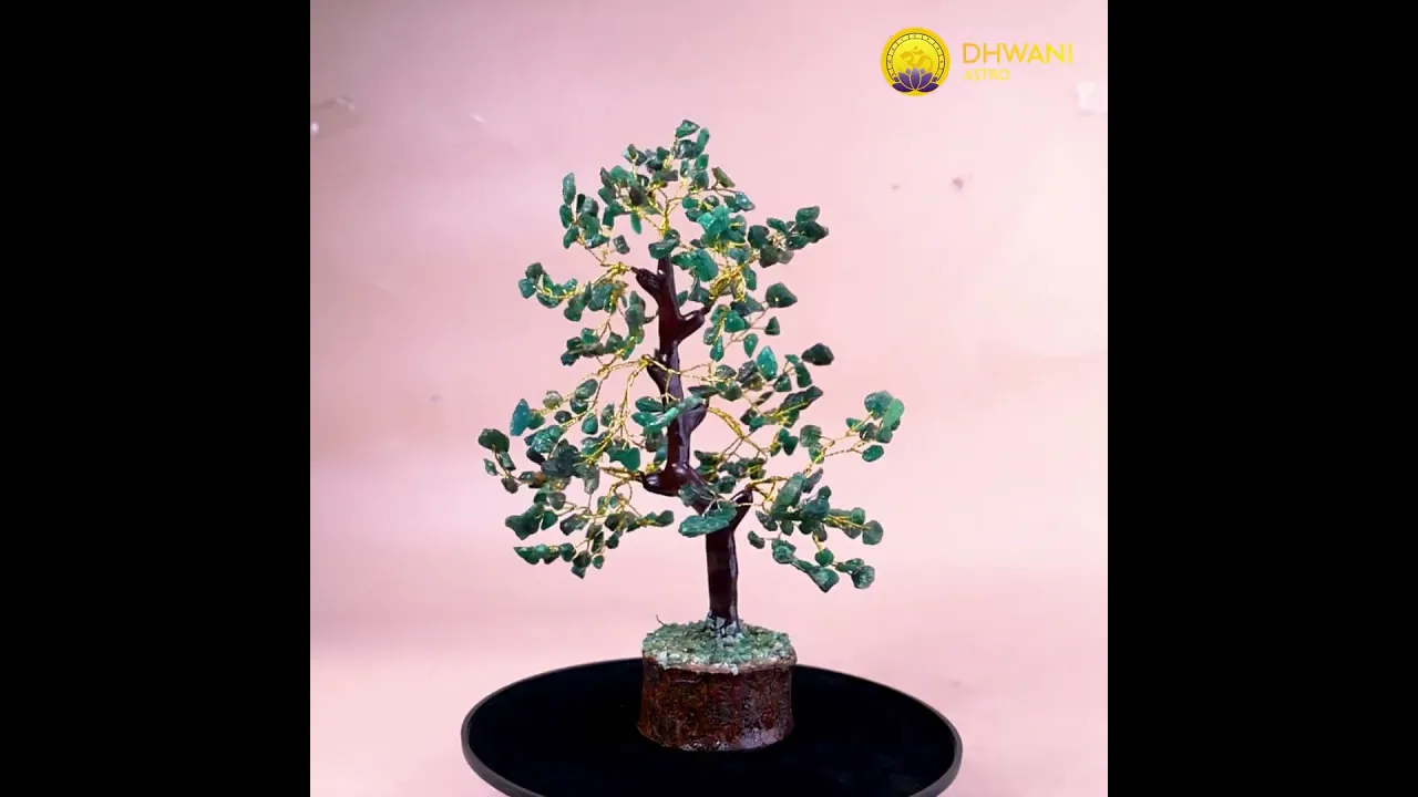 Promotes Wealth Attraction & Money Growth: Green Jade Tree