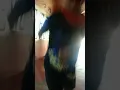Download Lagu Aku lagi manja