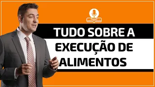 Tudo sobre a Execução de alimentos