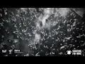 Avenged Sevenfold - Carry On / Lyrics