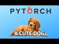 How to build custom Datasets for Text in Pytorch