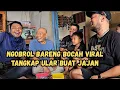 Download Lagu DIKA BOCAH VIRAL CARI ULAR  BUAT JAJAN  MP3