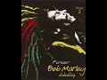 Bob Marley - Sun is Shining (DnB Remix)