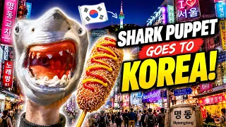 Shark Puppet Was NOT READY For South Korea 🇰🇷