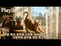 [Playlist] 🐱고양이를 위한 랩소디 | 집사와 고양이가 함께 듣는 포근한 위로 음악 20선