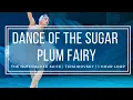 Download Lagu Dance of the Sugar Plum Fairy | Tchaikovsky Nutcracker | 1 Hour Version