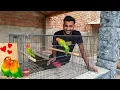 Download Lagu Love Birds Le Liye 😍