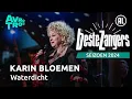 Download Lagu Karin Bloemen - Waterdicht | Beste Zangers 2024