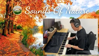 Relaxing Music Silent Path 