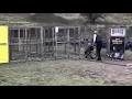 First IPSC Match with Typhoon F12