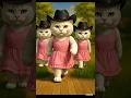 Download Lagu kucing maju mundur cantik #cat #catlover #short