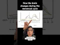 Download Lagu Neuroscientist explains how your period changes your brain!