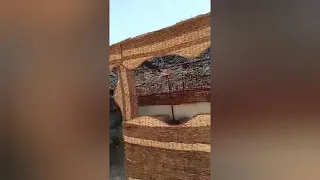 ازاي تعمل   من الفسيخ شربات    اوعي ترمي الخرده تاني             دندنها