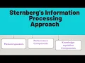 Sternberg s Information Processing Approach