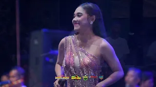 ciinan bana ana rista new pallapa live telajung bekasi hut andrena shaila ernanto