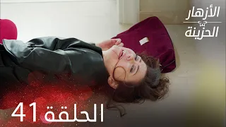 الأزهار الحزينة الحلقة 41 كاملة Kırgın Çiçekler 