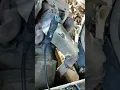 2006 duramax low fuel rail pressure fix