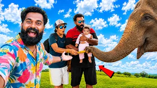 Spending a Day at Nong Nooch Garden 🐘🌴 | Elephant Show & Feeding | Episode 4 | ആന മസ്സാജ്   M4 TECH